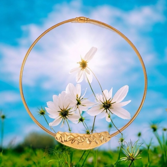 NWOT Elegant stainless steel 18 K gold, plated choker necklace - Picture 5 of 14